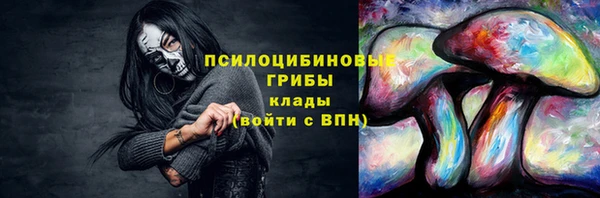 гидра Алзамай