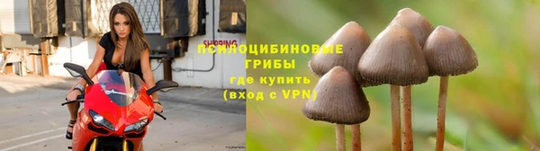 гидра Алзамай