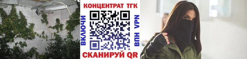 ТГК вейп  блэк спрут   Кемь 