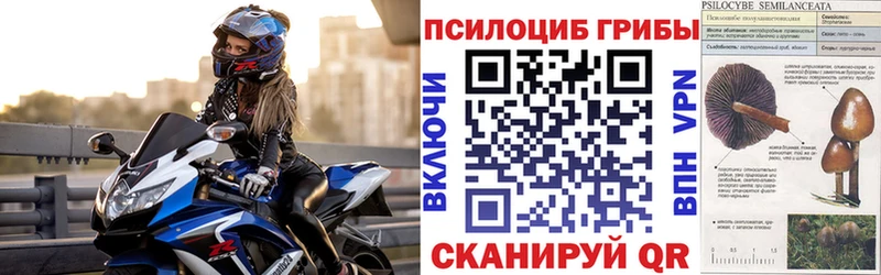 Галлюциногенные грибы Magic Shrooms  Кемь 